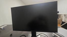 Dell Monitor P2419H zu verkaufen
