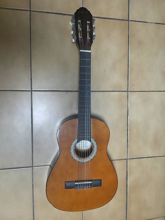 Strumenti musicali: Vendo chitarra Golden Ton – Usato da Faido venduto da SX32