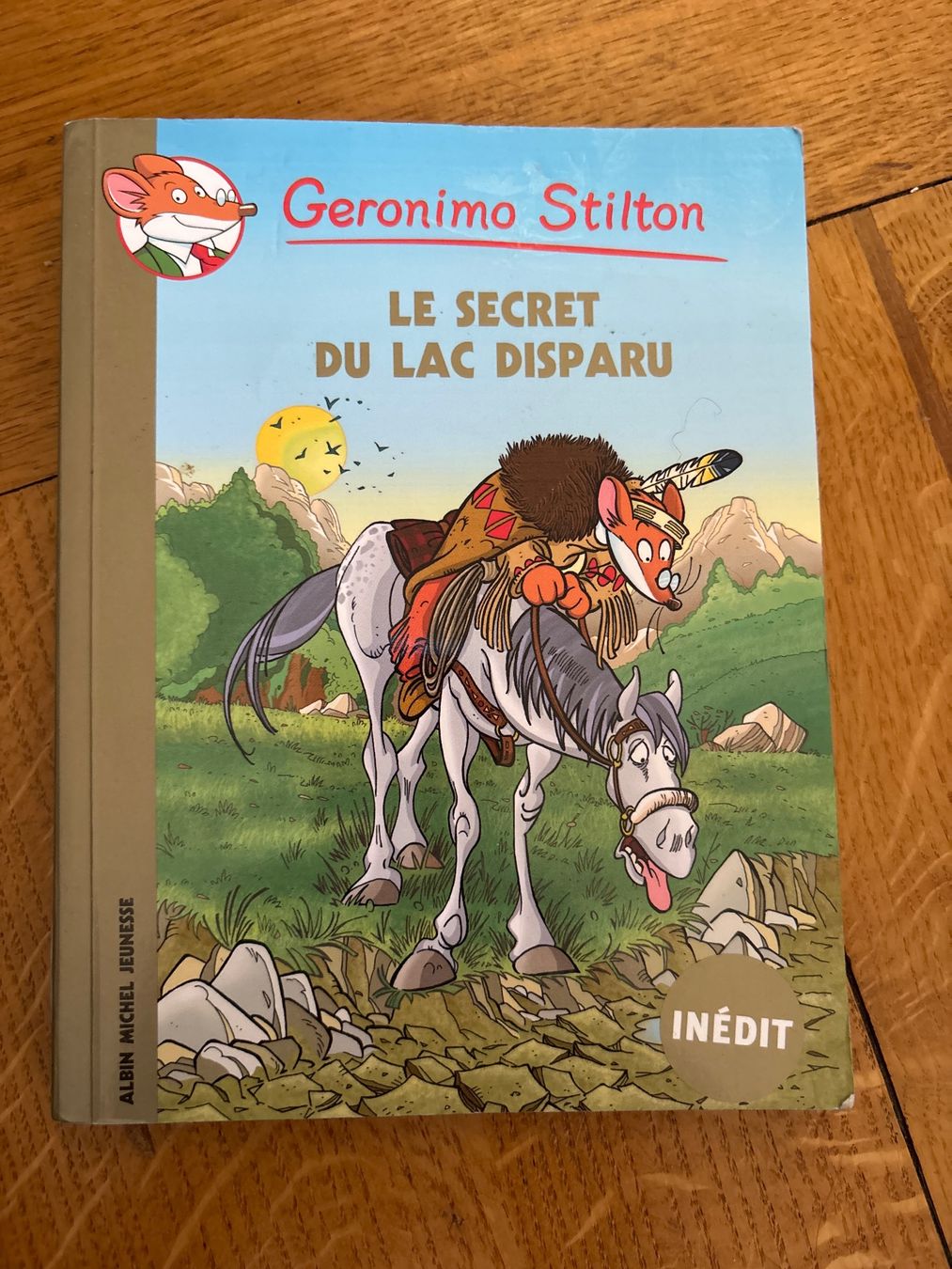 Libri: Geronimo Stilton - Le Secret du Lac Disparu – Usato da Genève venduto da Livsonman