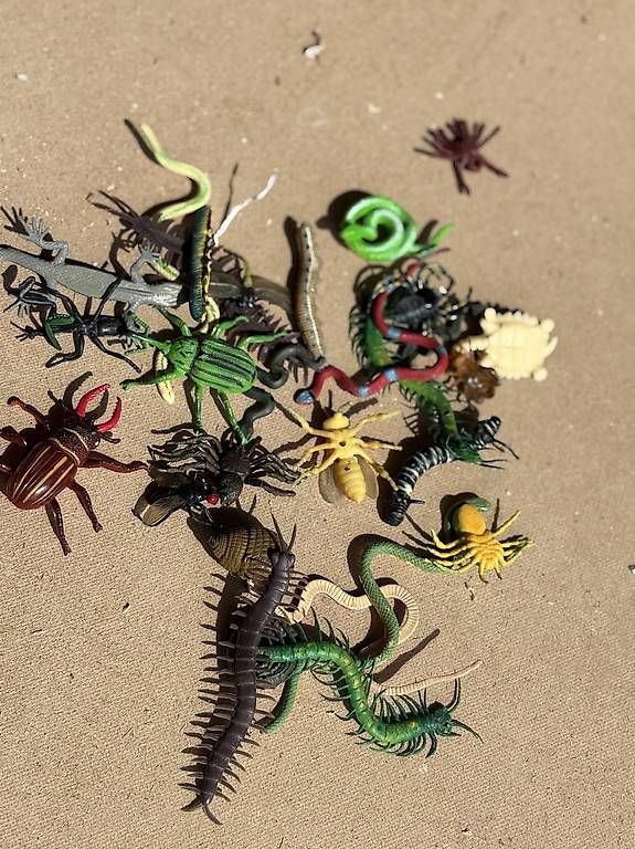 Jouets: Jouets insectes et reptiles  – D'occasion à Les Genevez JU par mat_9kr6