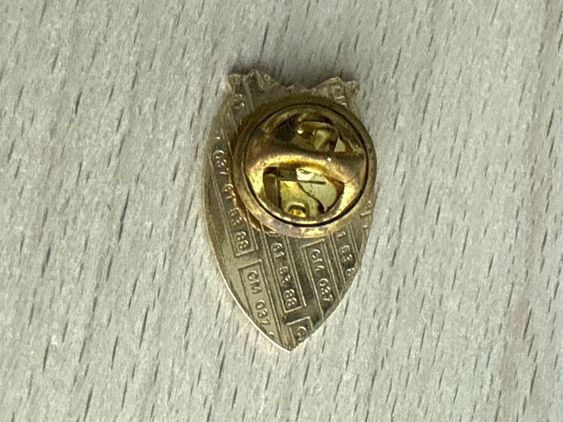 Plaquettes & Badges: Pin Ste Cav Broye – D'occasion à Glattbrugg par Schweigmatt 1