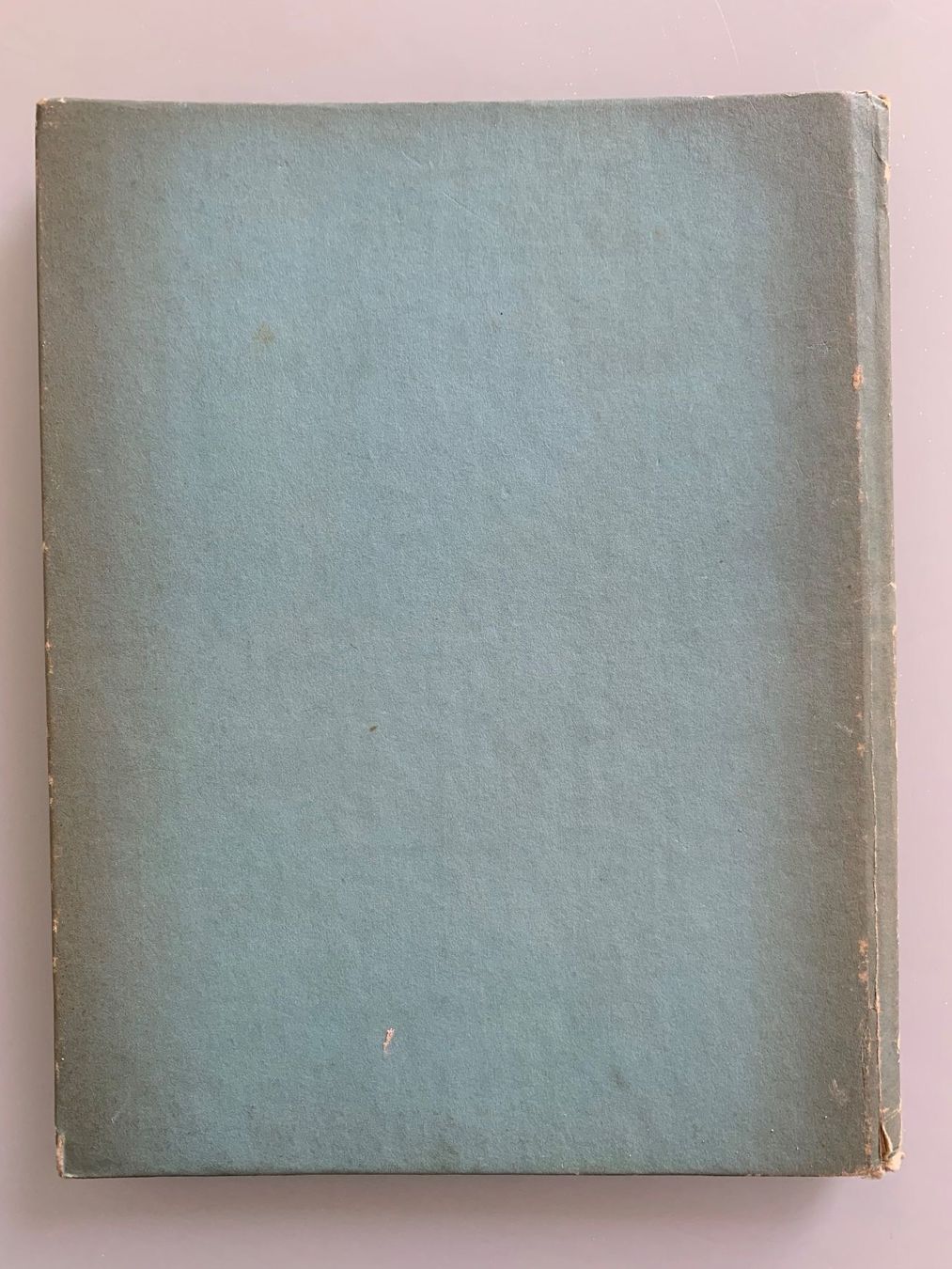 Bücher: Nora Scholly: Wolkenkinder – Gebraucht aus Basel von SusaSandig 5