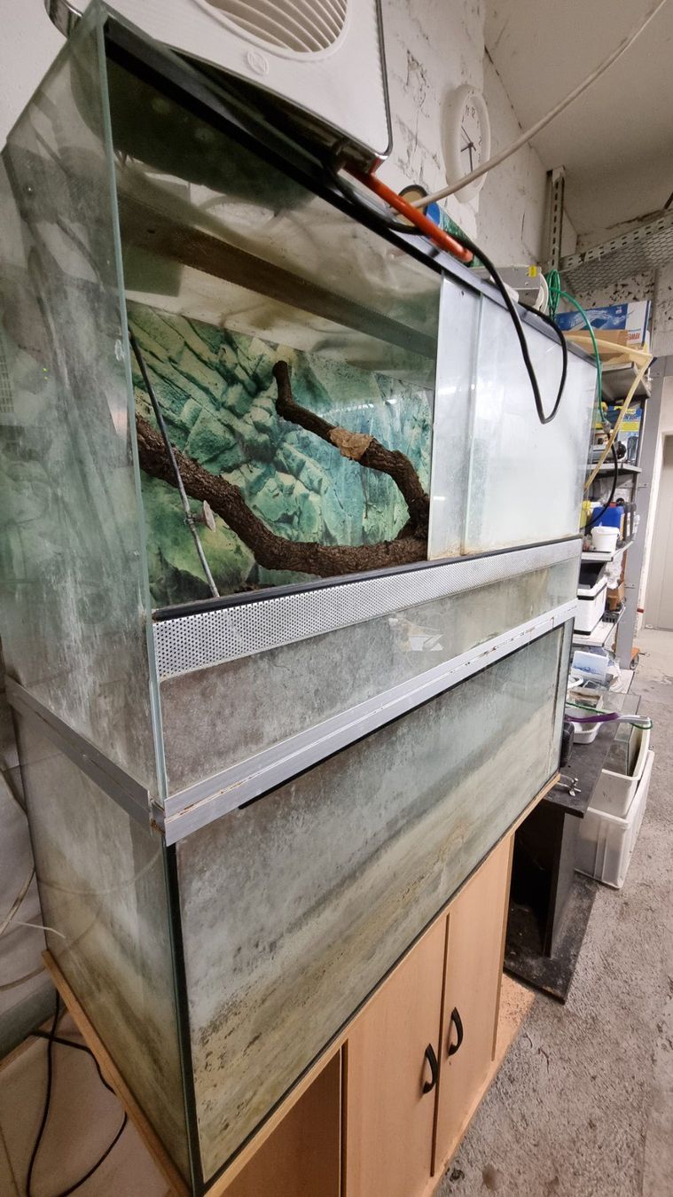 Terrario: Paludarium mit Untermöbel – Usato da Oberentfelden venduto da Myri13 1