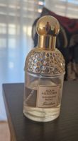 Guerlain Aqua Allegoria Mandarine Basilic 75ml