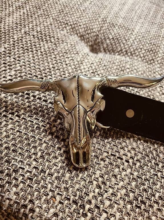 Sculture & Statue: Gurt Country Büffelkopf – Usato da Schaffhausen venduto da Airsue