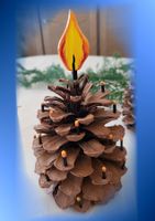 Weihnachts-Tannenzapfen Kerzen