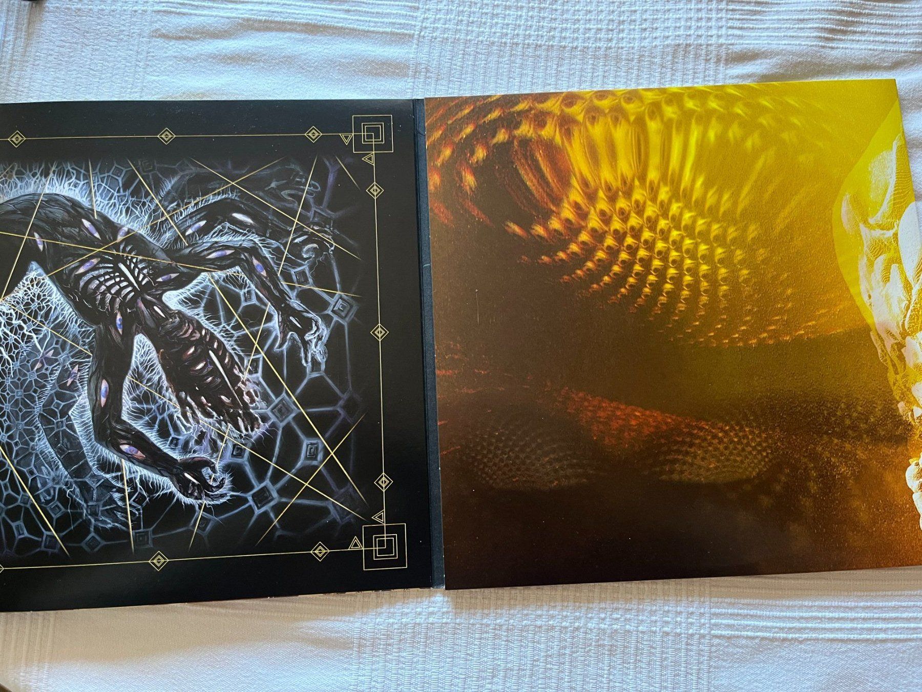 Schallplatten: Tool - Fear Inoculum 2x Vinyl LP – Gebraucht aus Effretikon von ChrisLamberger 1