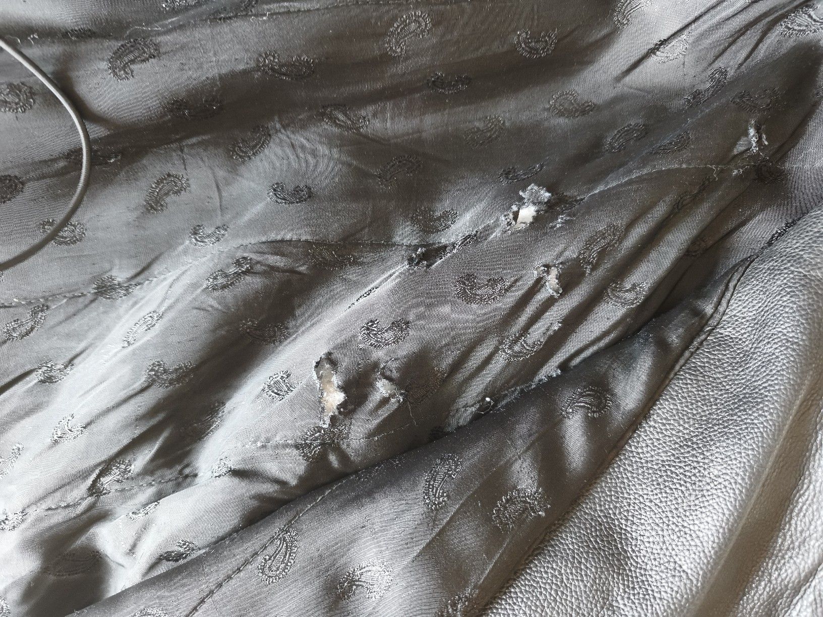 Giacche: Lederjacke – Usato da Luzern venduto da Schneuger1 2