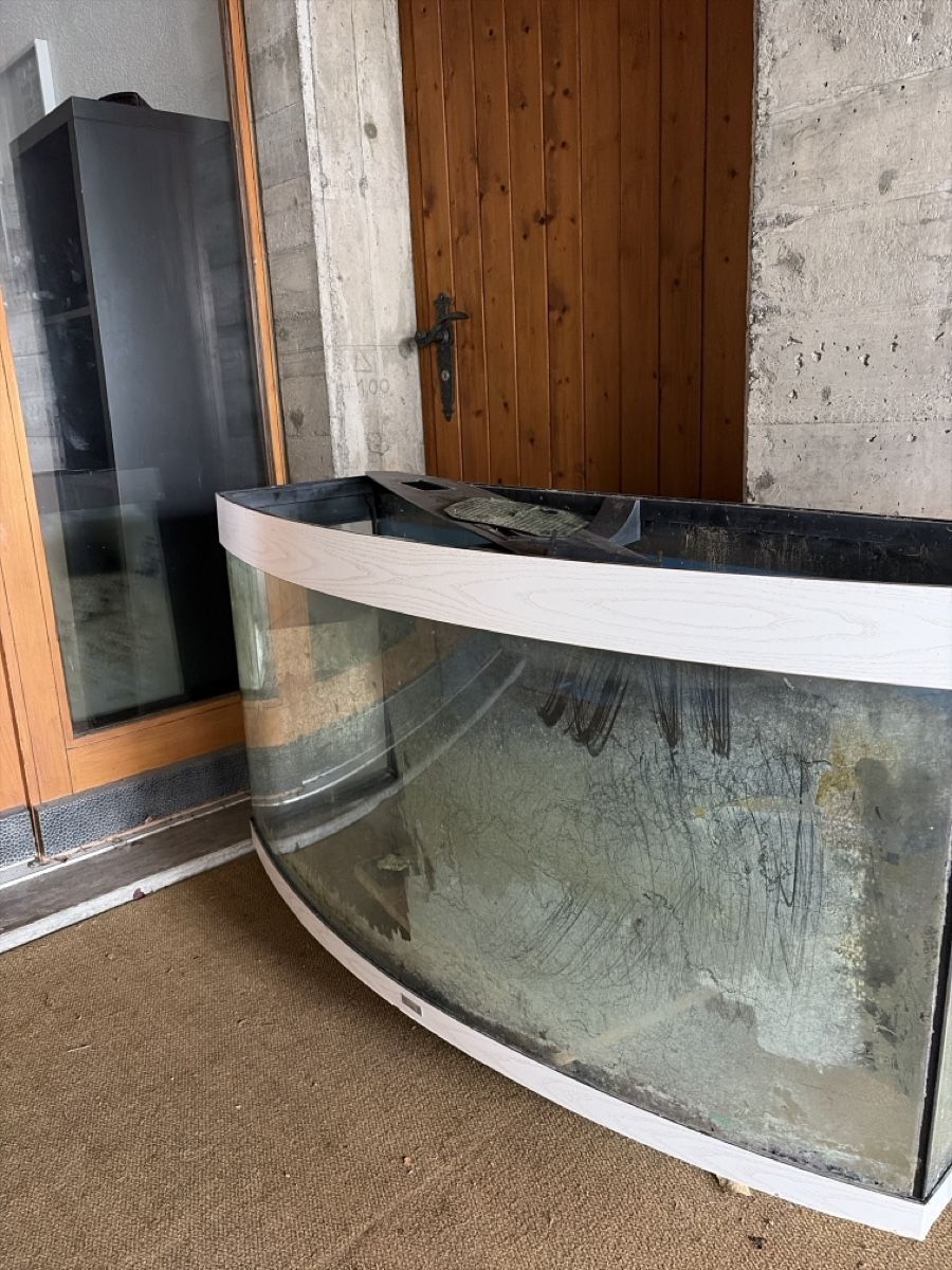 Aquarium: Juwel Vision 260 – Gebraucht aus Reinach AG von joy_q2gl 1