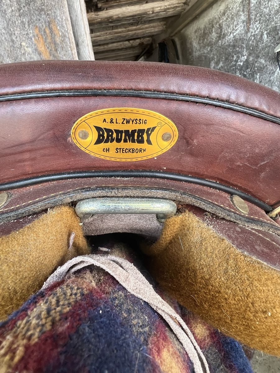 Sattel & Sattelzubehör: Brumby Stocksattel – Gebraucht aus Amlikon-Bissegg von Kandel 2