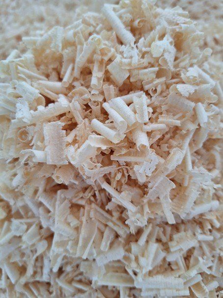 Holzartikel: Arven / Zirben Späne 500gr. – Gebraucht aus Luzern von Heugaerten