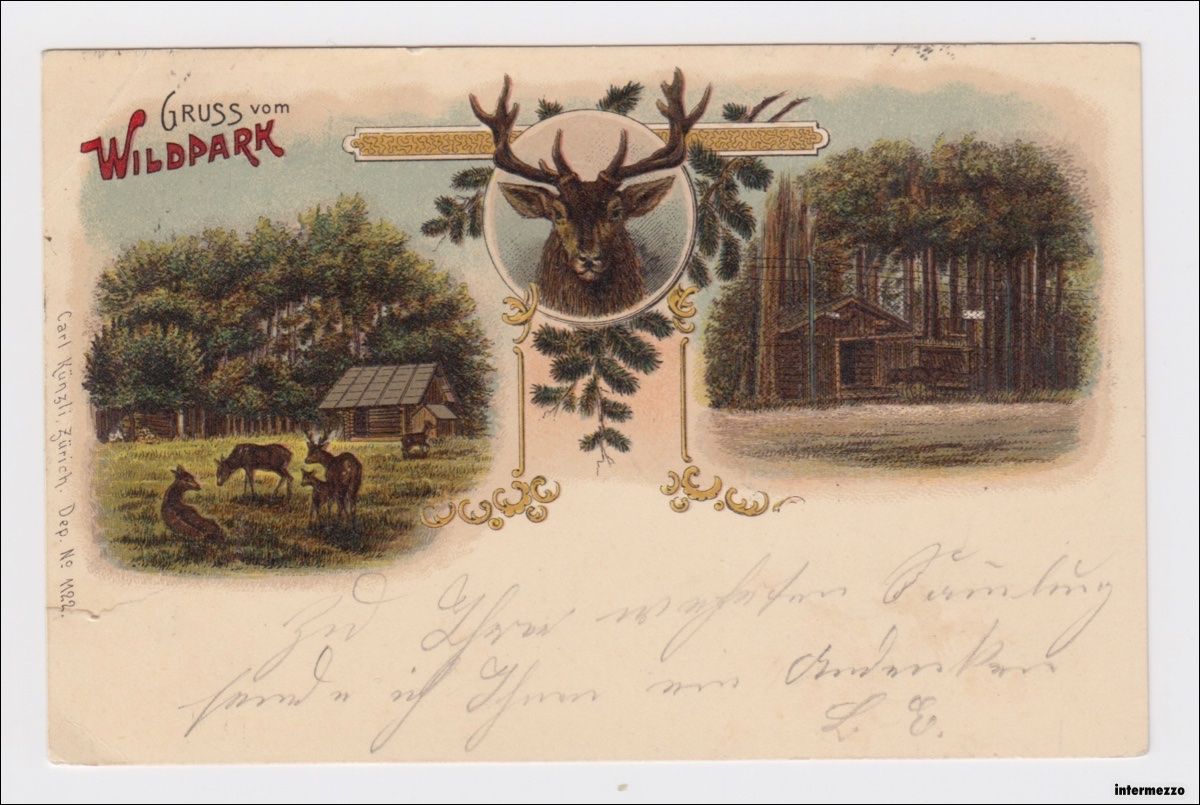 Cartoline postali: St. Gallen // Wildpark Litho // 1900 – Usato da Basel venduto da intermezzo12