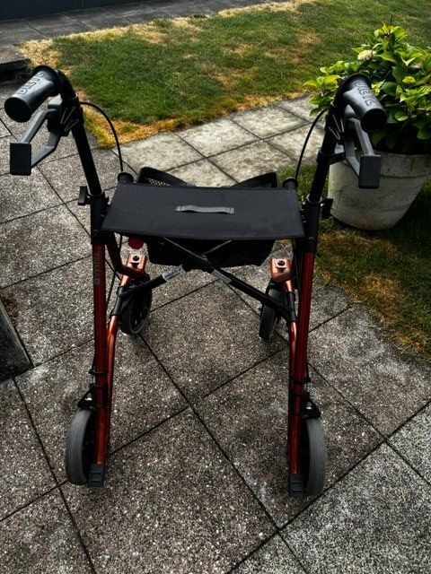 Gehhilfen: Rollator/Gehhilfe von DIETZ, Modell Taima M – Gebraucht aus Uetikon am See von ber_62cf 2