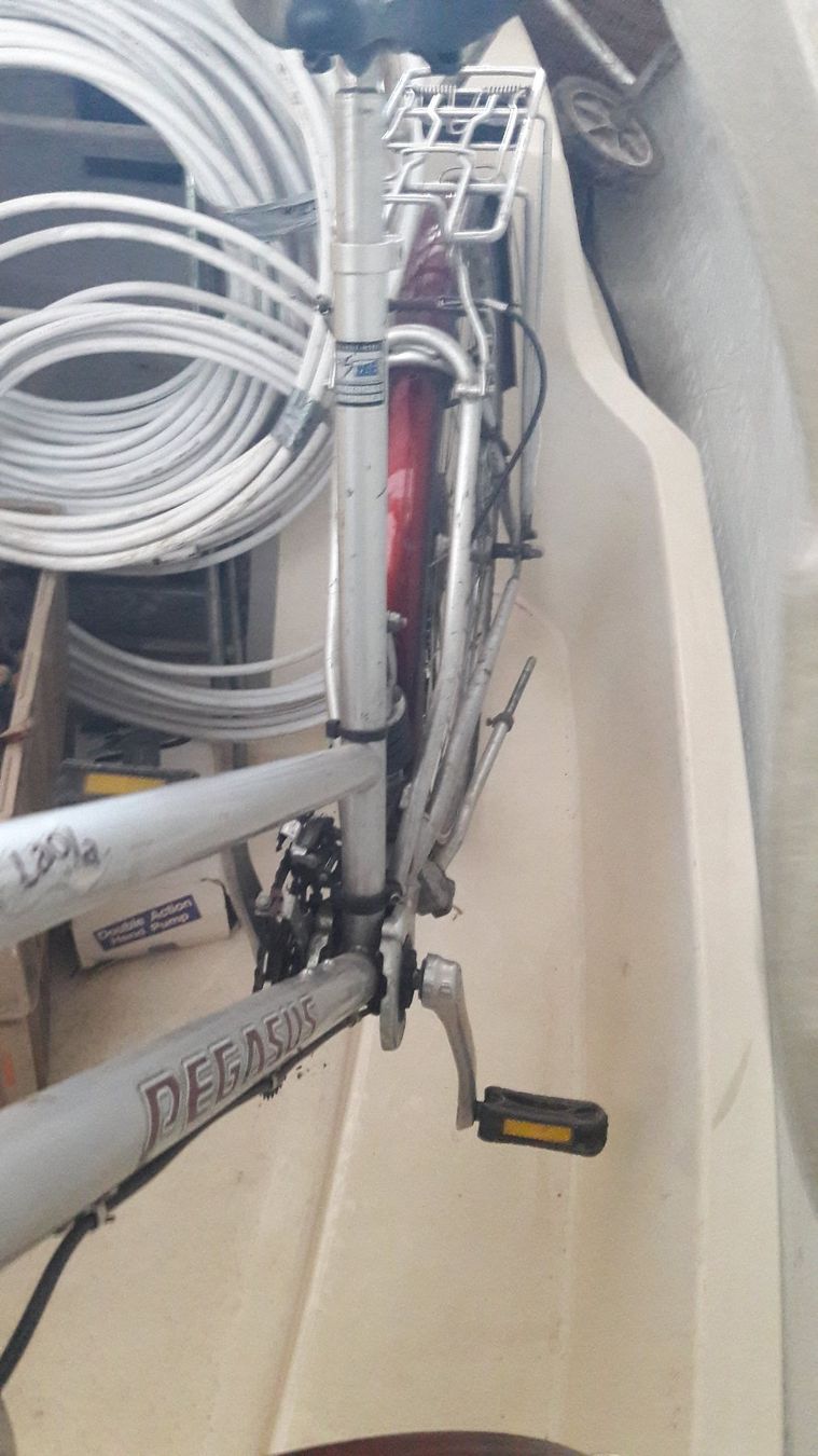 Biciclette: Velo Pegasus – Usato da Laufen venduto da Mann455 7