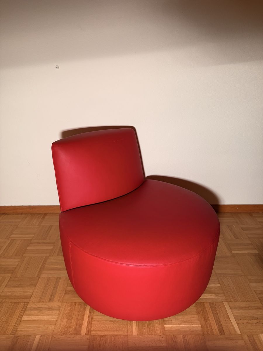Poltrone: Tacchini Baobab Ledersessel – Usato da Zürich venduto da enn_rn5n 1