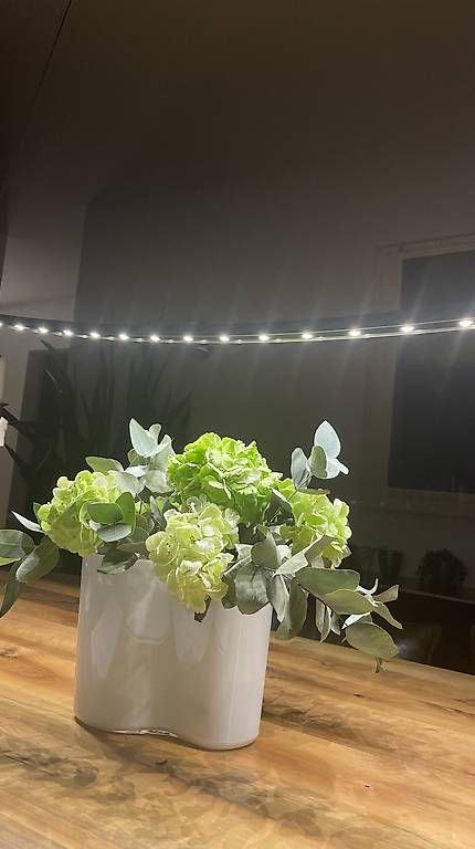 Lampade: Lisgo, LED  Pendelleute, Grösse 140 x 200 cm. – Usato da Bottighofen venduto da con_6lgw 4