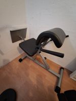 Hyperextension Bank / Römische Bank - Top Zustand! Preis!