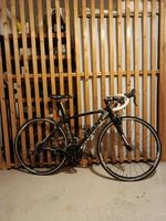 GIANT TCR CARBON