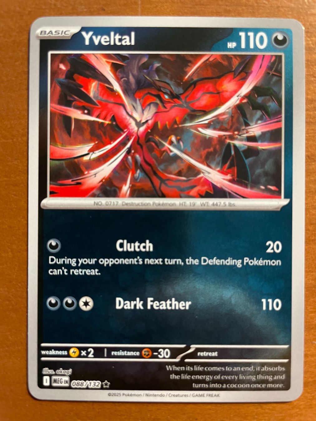 Pokémon Carte collezionabili: Pokemon Yveltal Reverse (Versand gratis) – Nuovo (secondo la descrizione) da Chur venduto da Angerson