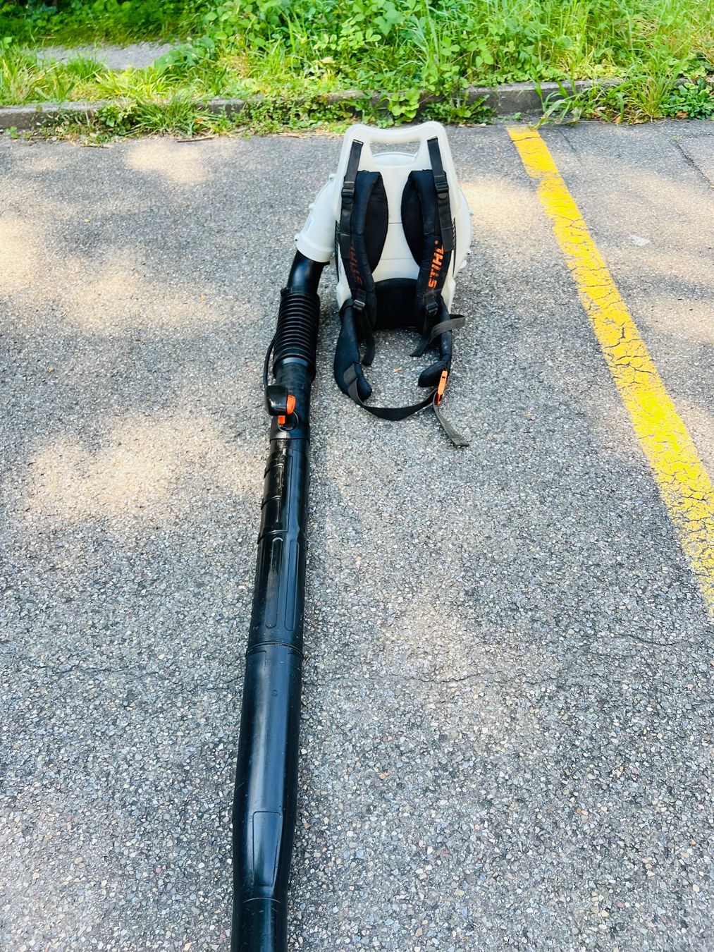 Stihl Laubbläser & Laubsauger: Laubblaser Stihl BR 600 MAGNUM – Gebraucht aus Urdorf von Faz_19 9