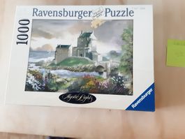 Puzzle mit Fehlendem Teil
