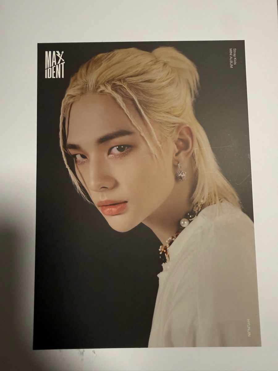 Libri: Maxident album stray kids – Nuovo (secondo la descrizione) da Schlatt TG venduto da Debbo88 2