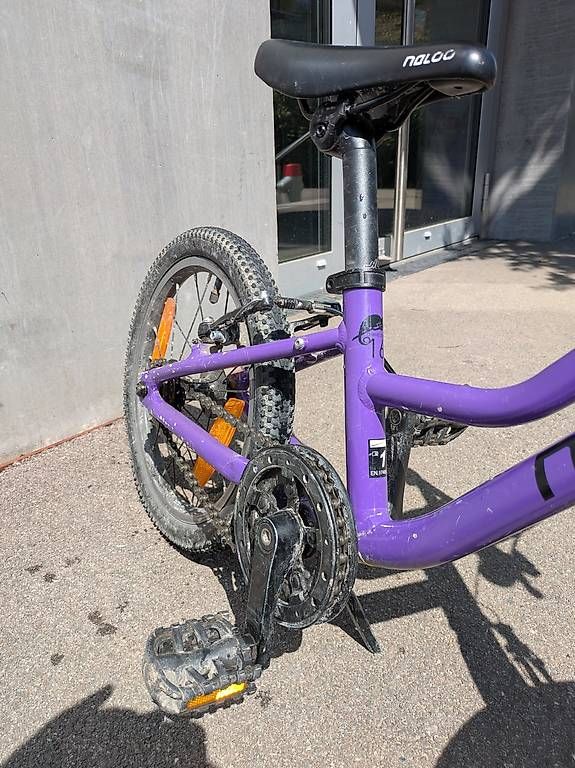 Naloo Velos: Naloo Chamäleon 16 – Gebraucht aus Zürich von mhueni 1