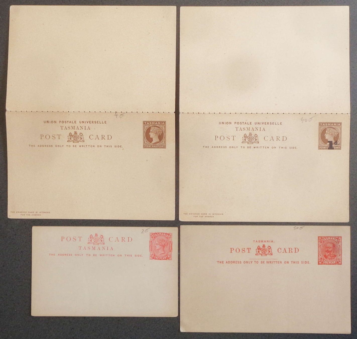 Tutti i francobolli: TASMANIA: 4 Postal Stationaries * – Nuovo (secondo la descrizione) da Le Locle venduto da timbrettino