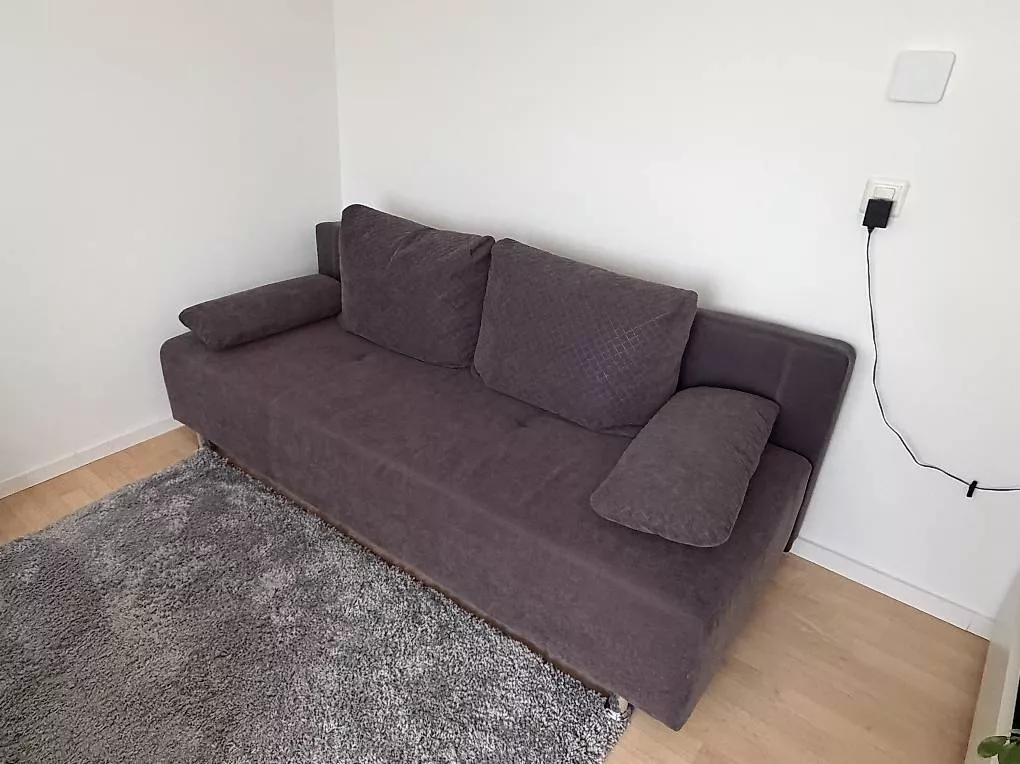 Divani: Sofa mit Schlaffunktion / Schlafsofa – Usato da Opfikon venduto da Gomborix