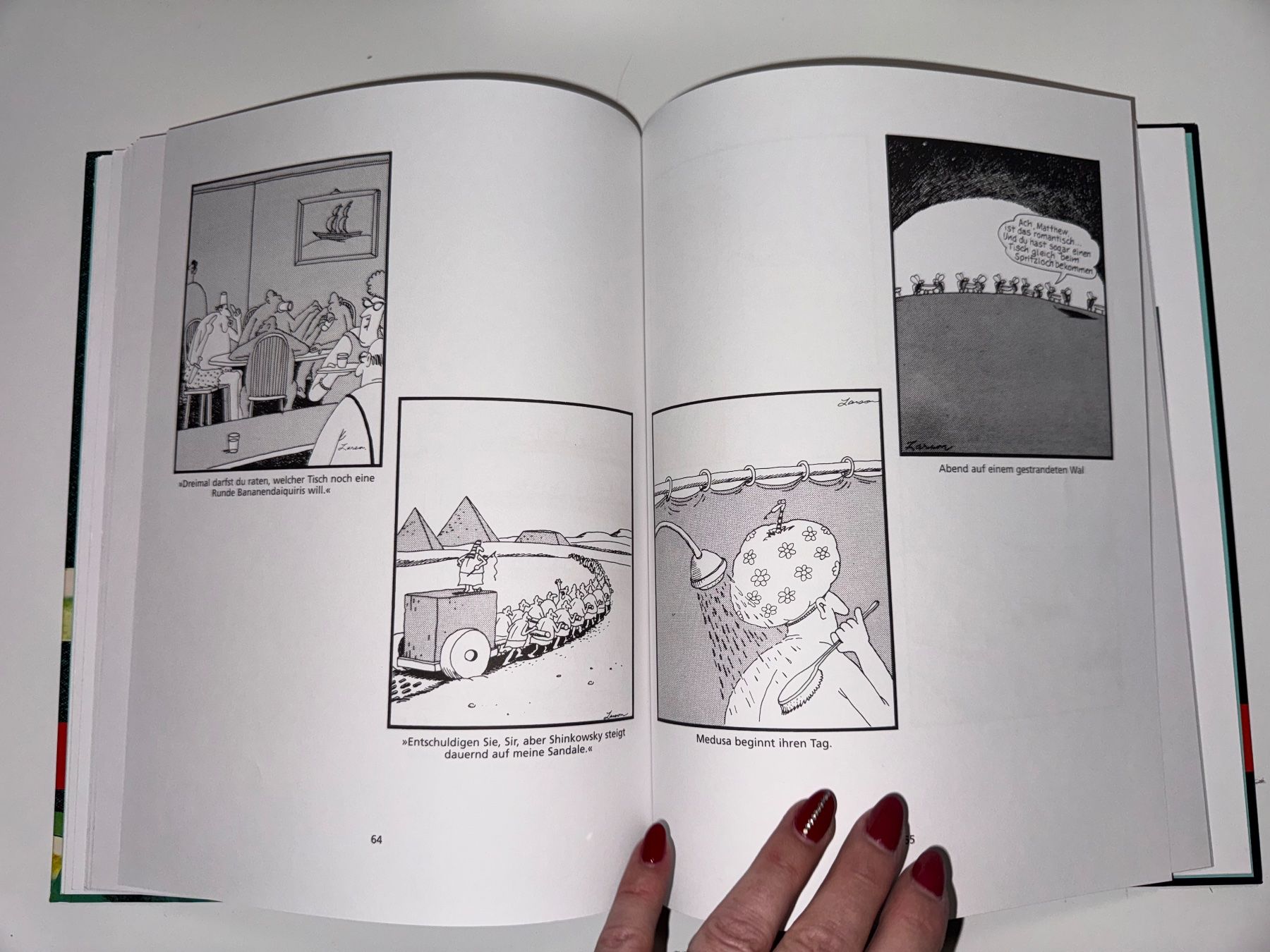 Bücher: BUCH: Gary Larson, Der Hund der anderen Seite – Gebraucht aus Grosswangen von Second_hand_paradise 4