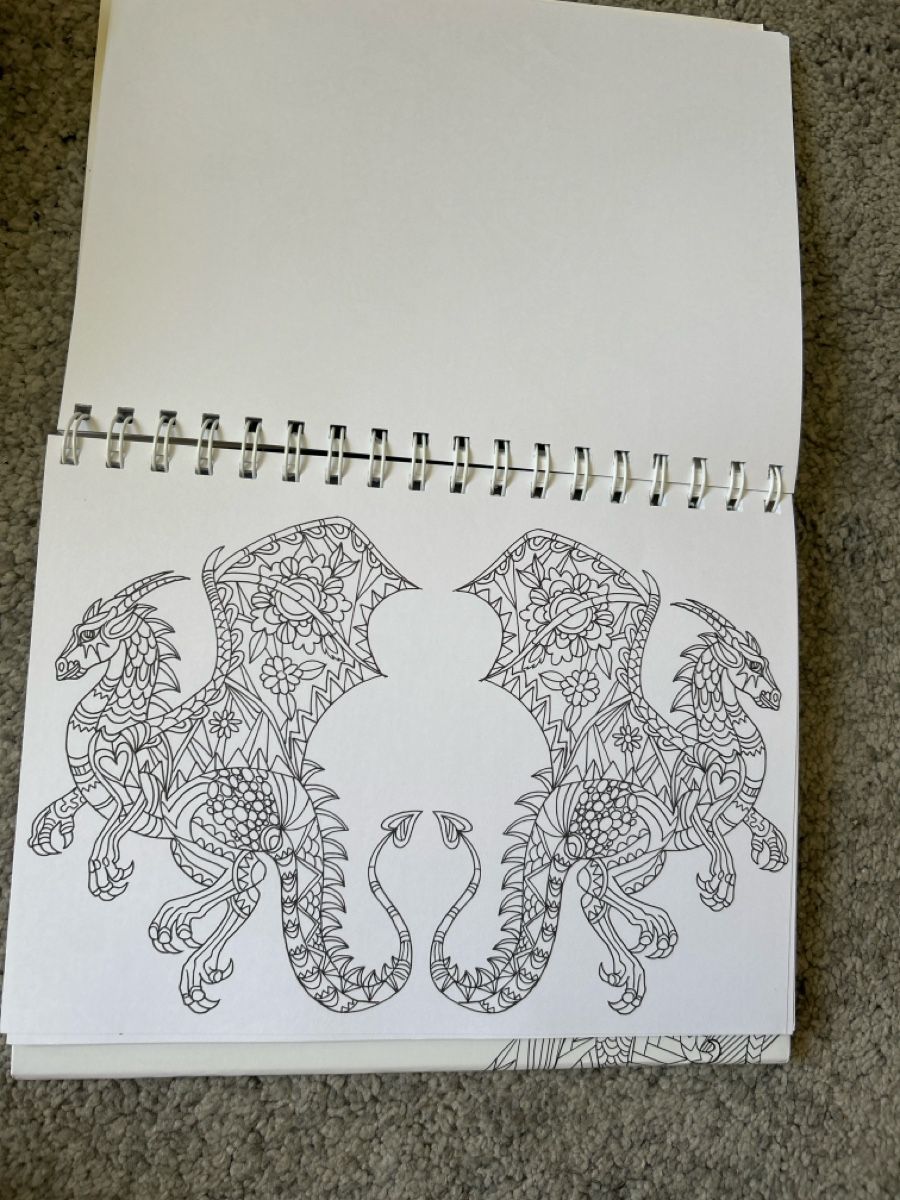 Libri: Fantasy Colouring Book for Adults - Relax and Create! – Nuovo (secondo la descrizione) da Herrliberg venduto da S.Renner 2