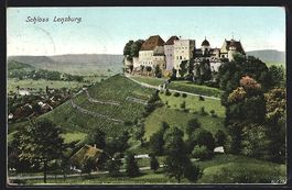 Lenzburg, Panoramablick auf das Schloss