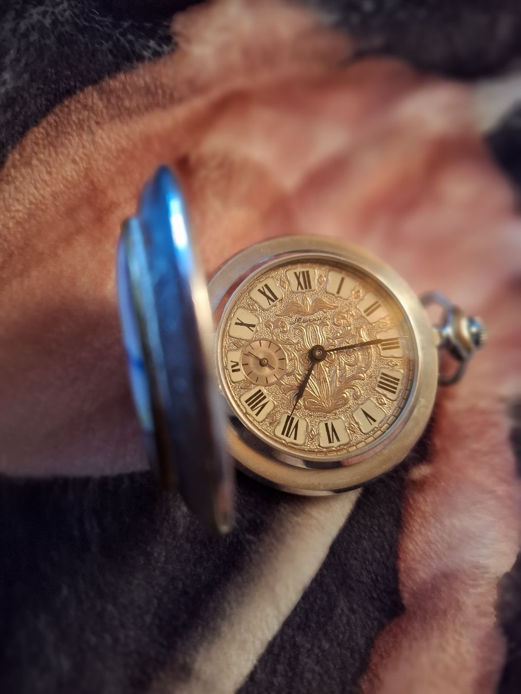 Orologi: MECH.TASCHENUHR MIT EMAILLE-MALEREI LANDSCHAFT – Nuovo (secondo la descrizione) da Gretzenbach venduto da schibaya 6