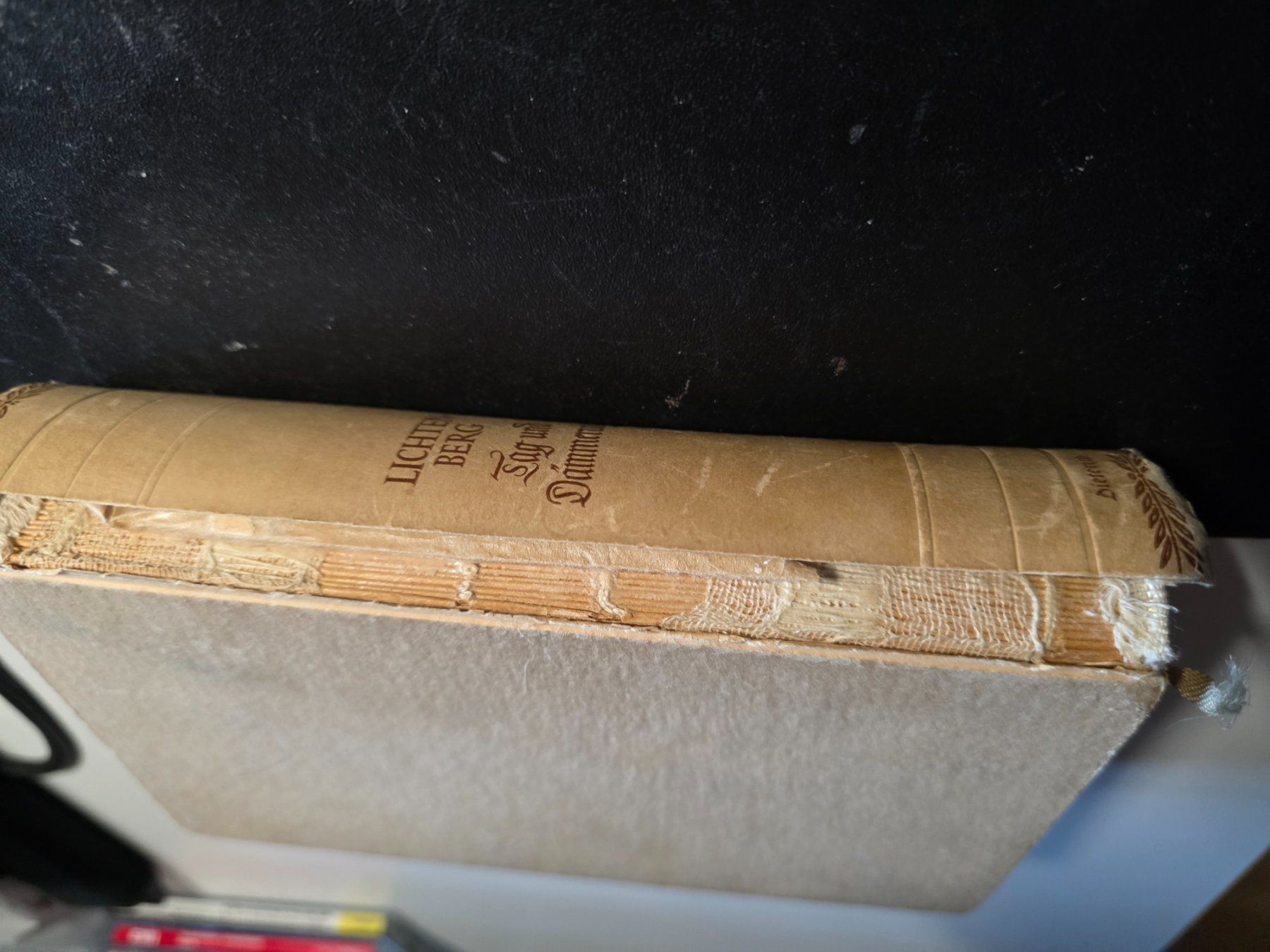 Libri: Lichtenberg - Tag und Dämmerung - 1942 – Usato da Walterswil BE venduto da Lonitti 5