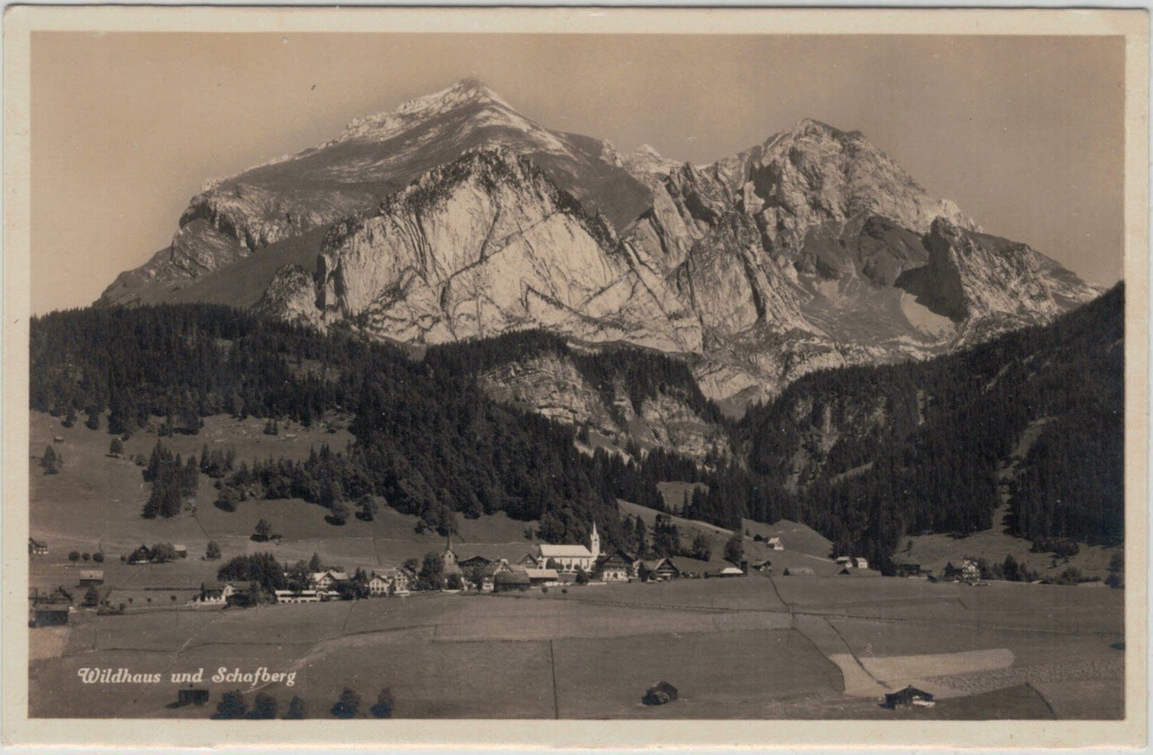 Ansichtskarten: SG 46 Wildhaus und Schafberg – Neu (gemäss Beschreibung) aus Fribourg von philafri