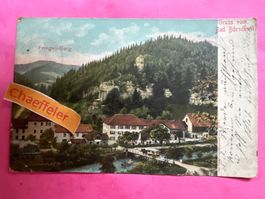 1903 Gruss aus Bad-Bärschwil.  Fringeli-Berg