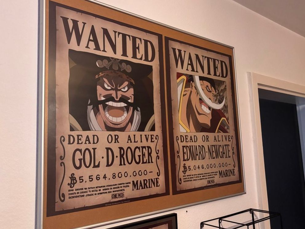 Foto & Immagini: One piece poster – Usato da Steinhausen venduto da anto_46s8n