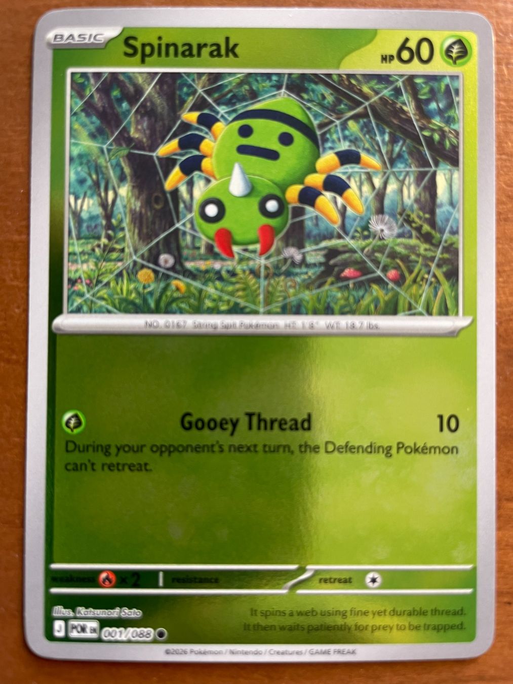 Pokémon Carte collezionabili: Pokemon Spinarak Reverse (Versand gratis) – Nuovo (secondo la descrizione) da Chur venduto da Angerson