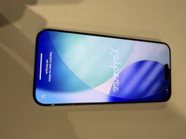 Iphone 15 Pro Max 256GB silber