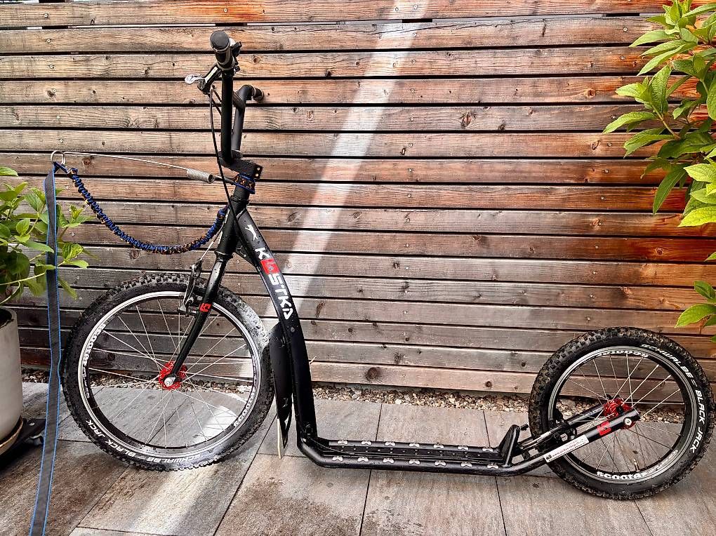 Kickboard: Dogscooter Trottinett Kostka – Usato da Heitenried venduto da sab_d8tp 2
