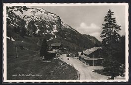 Col du Pillon, Strassenpartie mit Bergla
