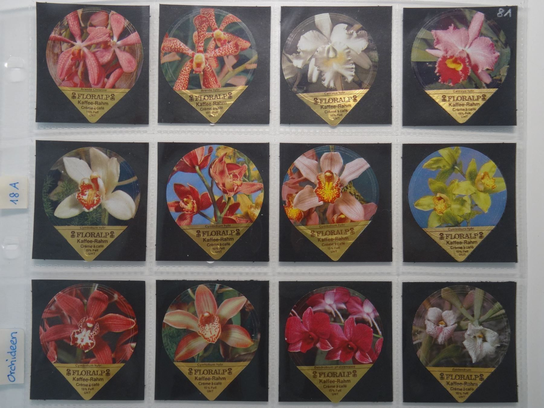Coperchi dei cremini per caffè: KRD Orchideen 1981  18A – Usato da Hochdorf venduto da Teger02