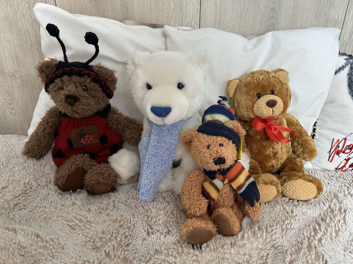 Giocattoli: Teddy Bären – Usato da Zürich venduto da robbii13 1