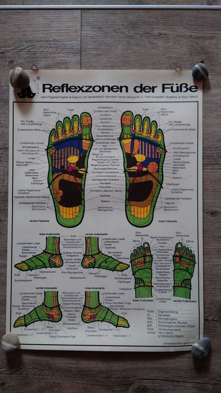Poster & Bilder: 4 medizinische Plakate – Gebraucht aus Lüchingen von Ruth1