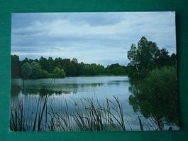 Husemer See bei Ossingen (Ansichtskarte)