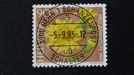 Vollstempel BERN 1  Schanzenpost  SBK J323  5.9.95   93