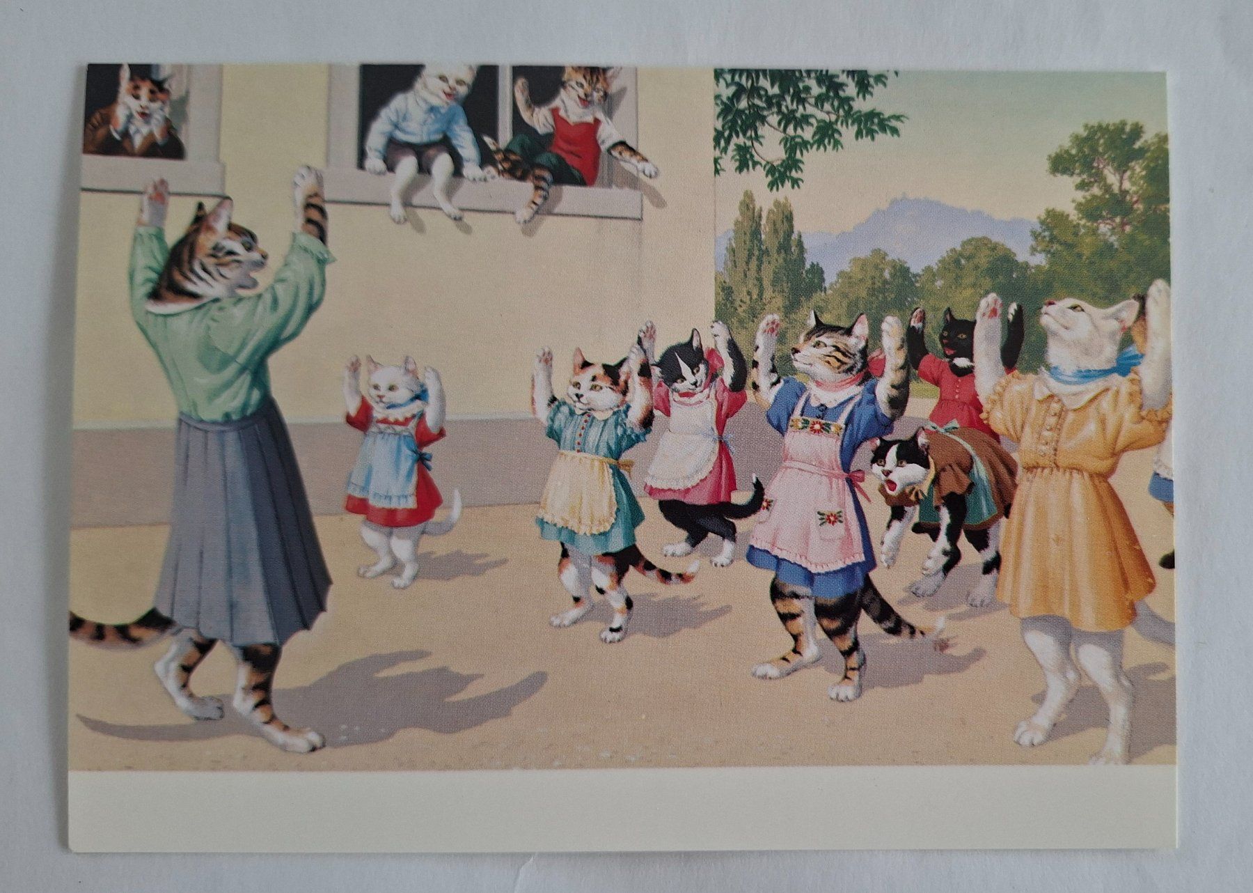 Cartoline postali: AK Katzen Katzenkarte Nr. 221 – Usato da Opfikon venduto da Diversamente