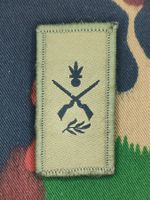 Truppengattungsabzeichen Infanterie, Variante 4