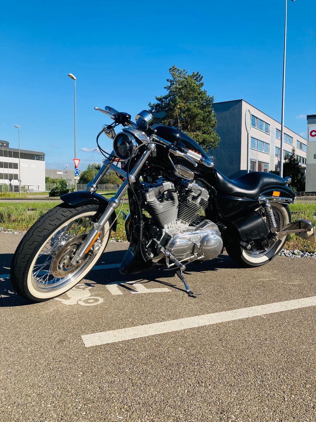 Harley-Davidson Chopper: Harley Davidson Sportster 883 – Gebraucht aus Niederweningen von Claritine 3