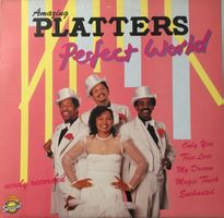 Amazing Platters – Perfect World (LP)